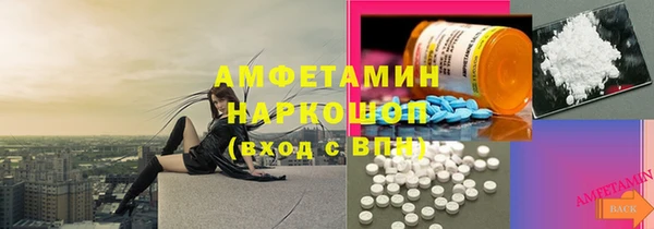 дмт Бородино