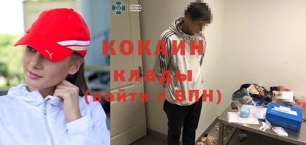 шишки Усмань