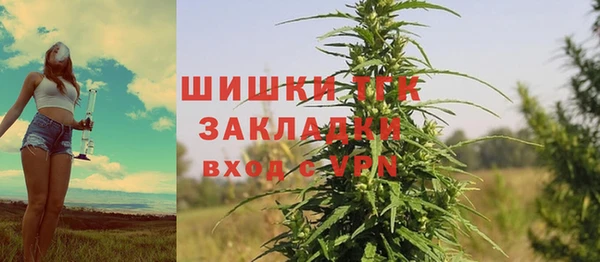 шишки Усмань